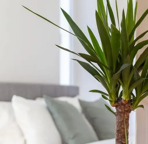 Stylish - Casa Leone - Center *